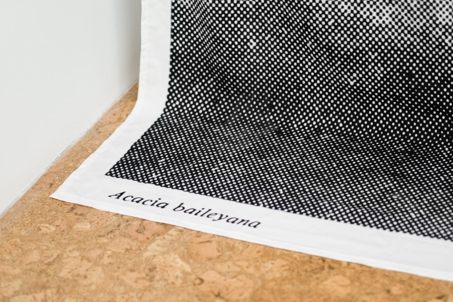 P!, 11_for_every_purpose_DSF2946_low_res Detail: Batia Suter, Acacia Baileyana, 2016